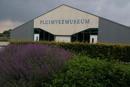 IMGP4969