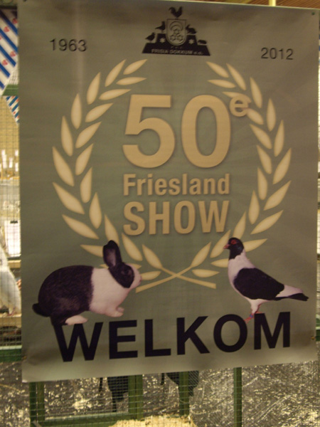 IMGP7398