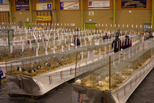 IMGP2013ptxk5rw-tdv