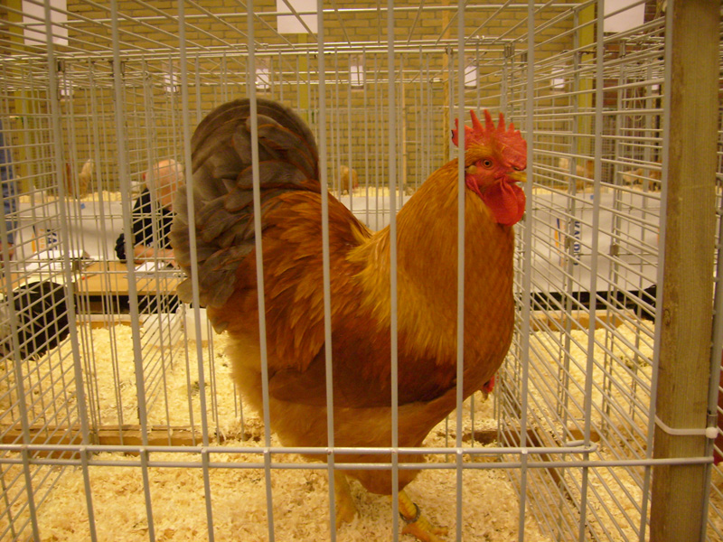 S6302057