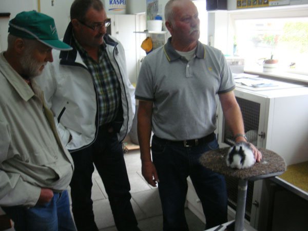 13aug2011Jelle 015