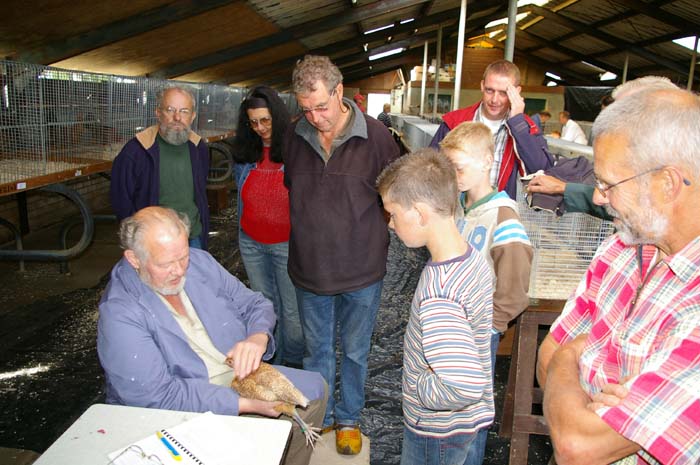 Jongdierendag 004