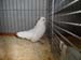 SAM_9348