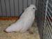 SAM_9349
