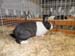 SAM_9355