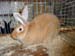 SAM_9357
