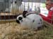 SAM_9359