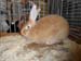 SAM_9365