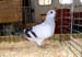 SAM_0369