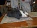 SAM_0376