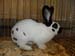 SAM_2818