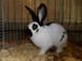 SAM_2819