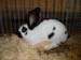 SAM_2837