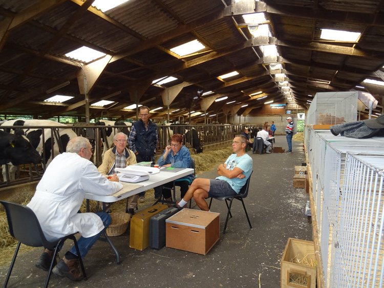 Jongdierendag PKV Frisia 2020 (10)