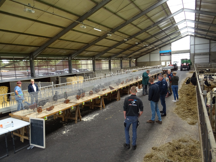 Jongdierendag PKV Frisia 2020 (17)