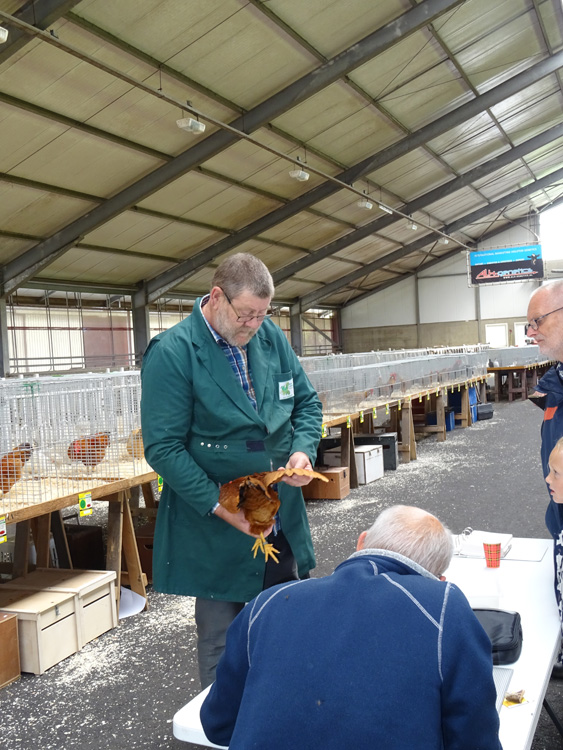 Jongdierendag PKV Frisia 2020 (19)