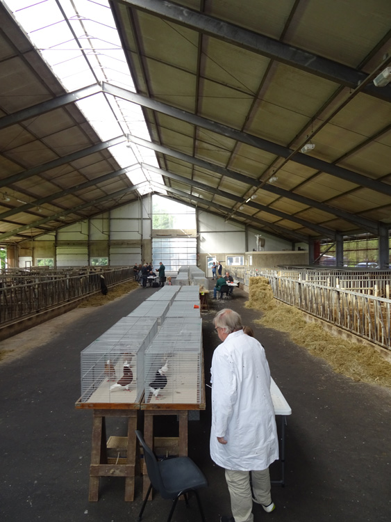 Jongdierendag PKV Frisia 2020 (20)