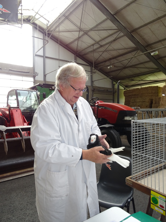 Jongdierendag PKV Frisia 2020 (22)