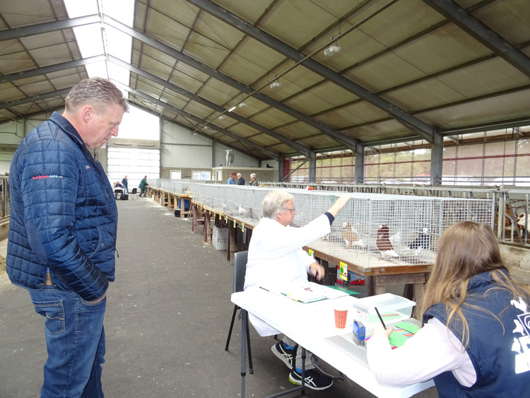 Jongdierendag PKV Frisia 2020 (28)