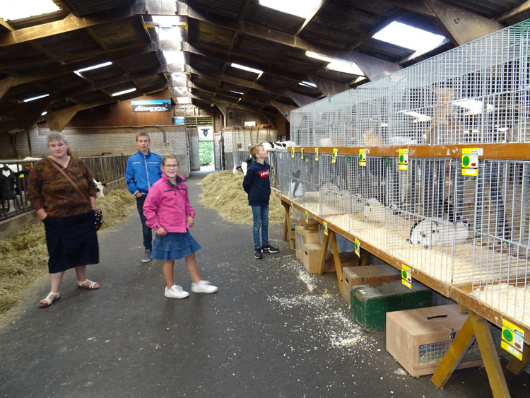 Jongdierendag PKV Frisia 2020 (3)