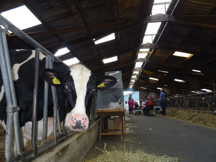 Jongdierendag PKV Frisia 2020 (35)