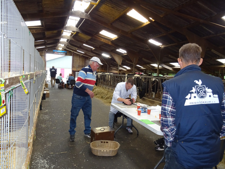 Jongdierendag PKV Frisia 2020 (4)
