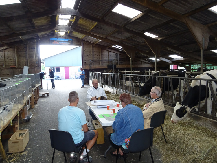 Jongdierendag PKV Frisia 2020 (41)