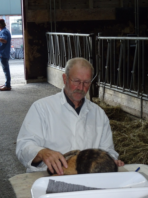 Jongdierendag PKV Frisia 2020 (42)