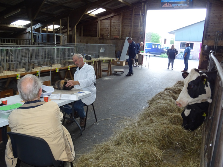 Jongdierendag PKV Frisia 2020 (43)
