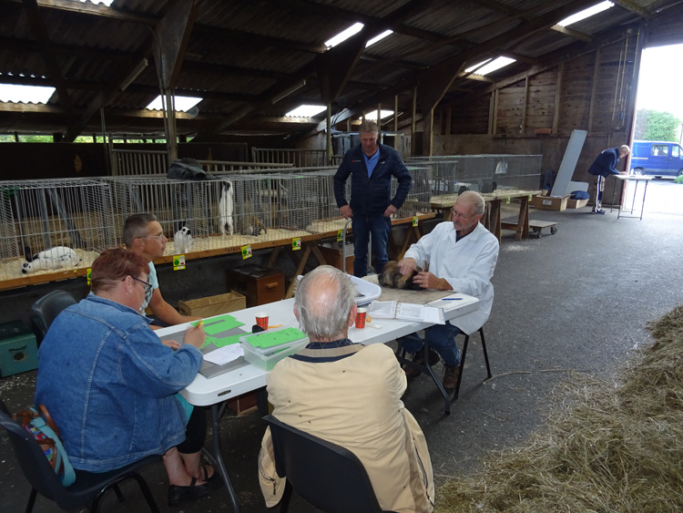 Jongdierendag PKV Frisia 2020 (44)