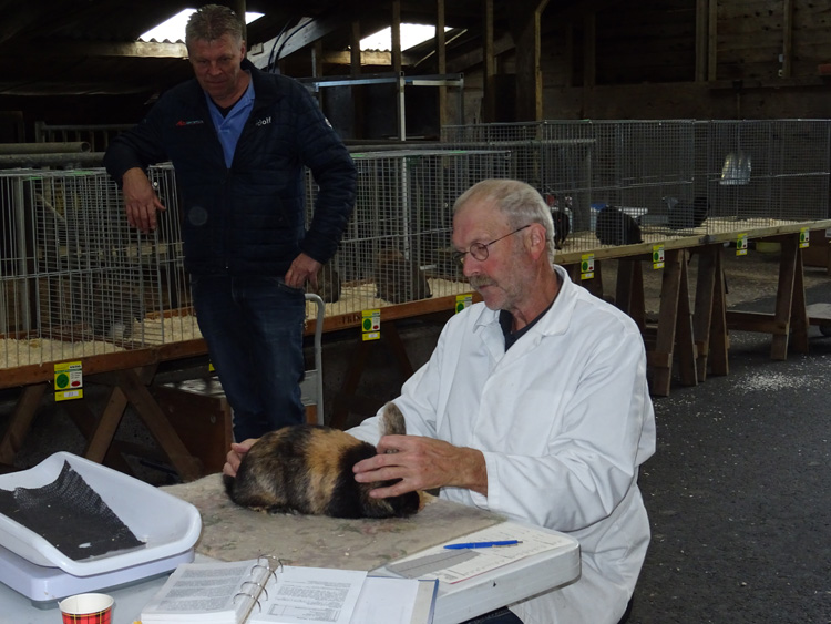 Jongdierendag PKV Frisia 2020 (45)