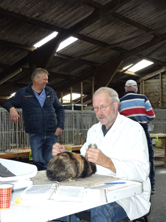 Jongdierendag PKV Frisia 2020 (47)