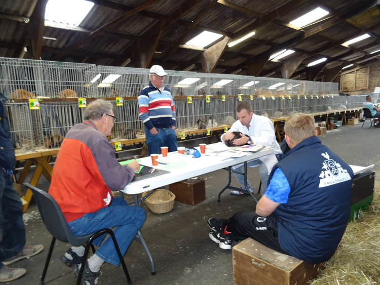 Jongdierendag PKV Frisia 2020 (5)