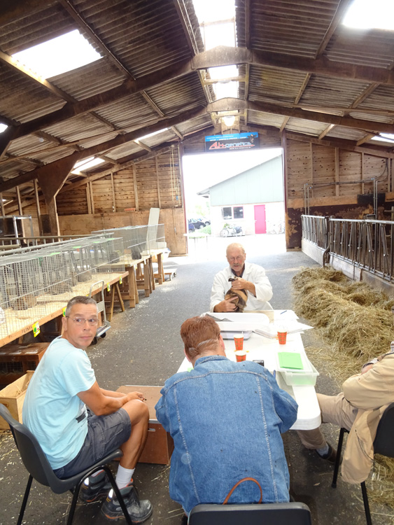 Jongdierendag PKV Frisia 2020 (52)