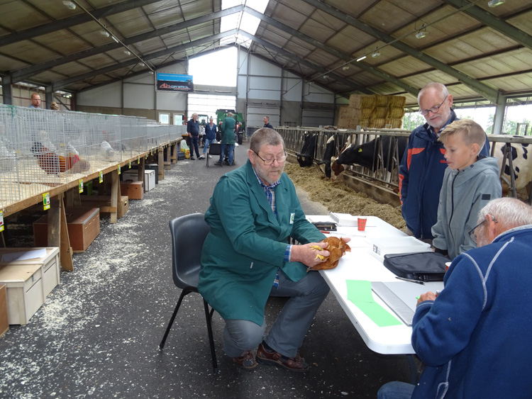Jongdierendag PKV Frisia 2020 (54)