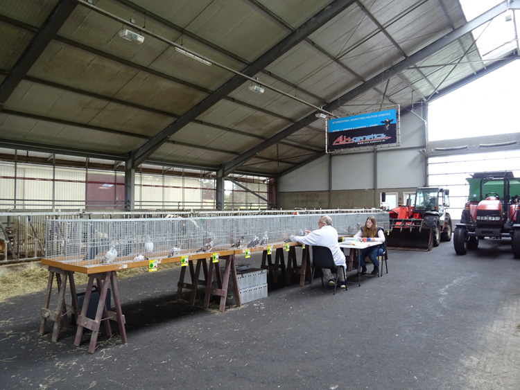 Jongdierendag PKV Frisia 2020 (55)