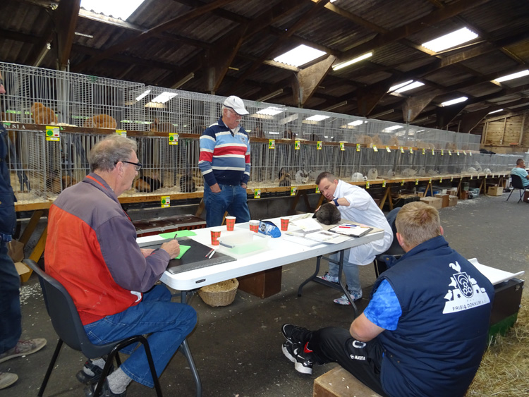 Jongdierendag PKV Frisia 2020 (7)