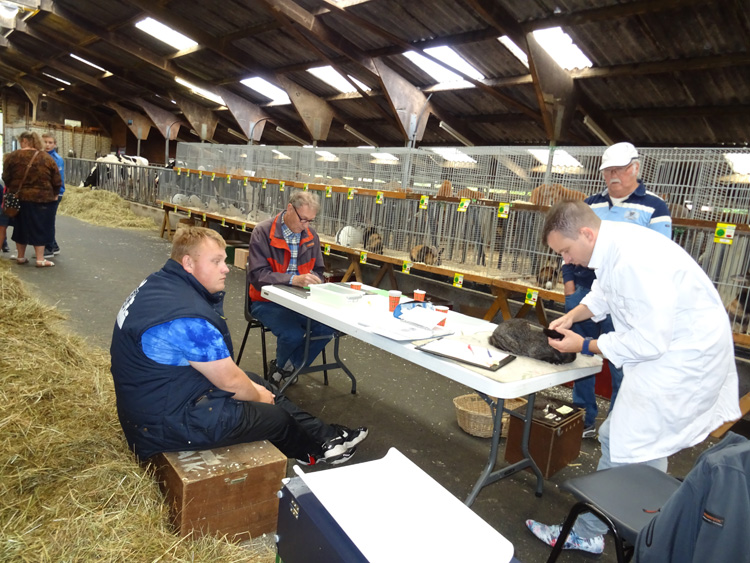 Jongdierendag PKV Frisia 2020 (8)