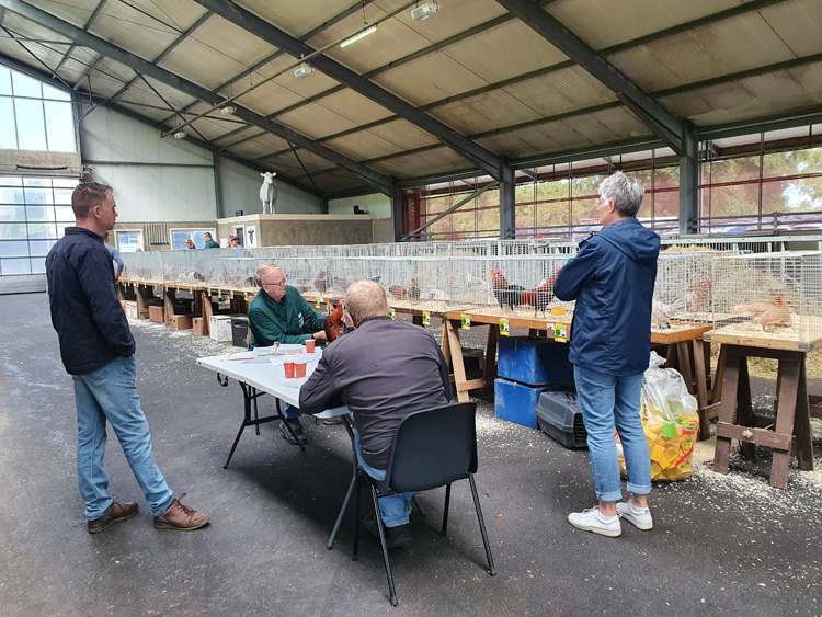 Jongdierendag PKV Frisia 2020 2 (4)