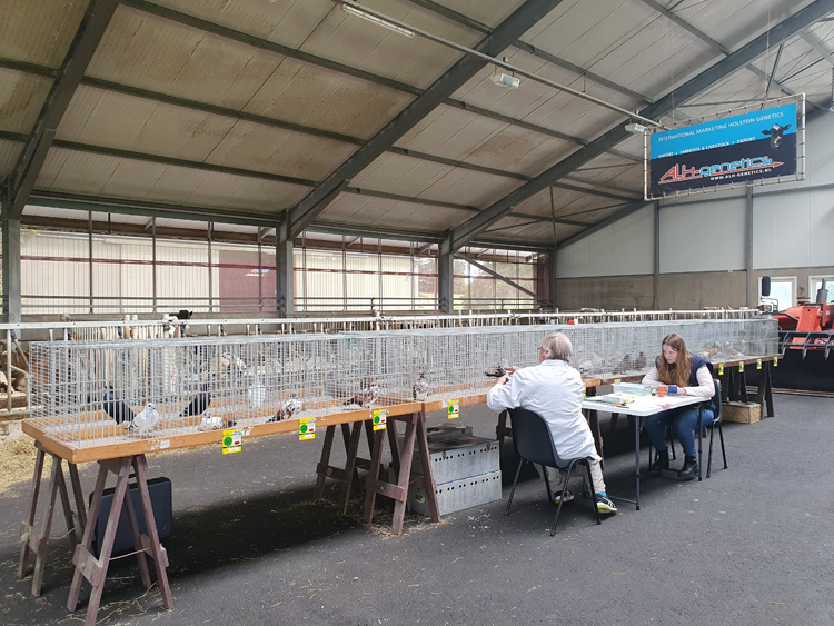 Jongdierendag PKV Frisia 2020 2 (5)