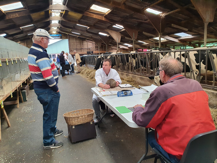 Jongdierendag PKV Frisia 2020 2 (6)