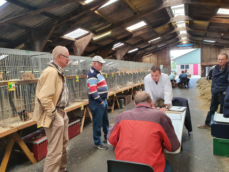 Jongdierendag PKV Frisia 2020 2 (8)