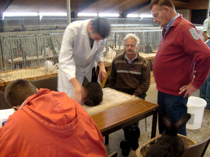 Kopie van Afbeelding 012