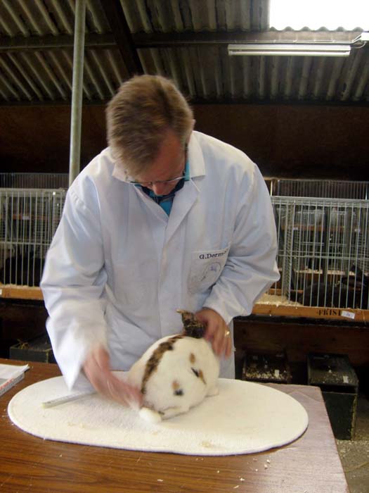 Kopie van Afbeelding 015